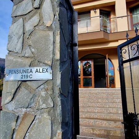 Pensiunea Alex Cheia  Eksteriør bilde