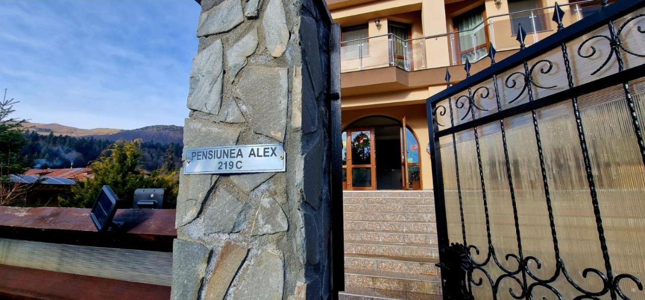 Pensiunea Alex Cheia  Eksteriør bilde